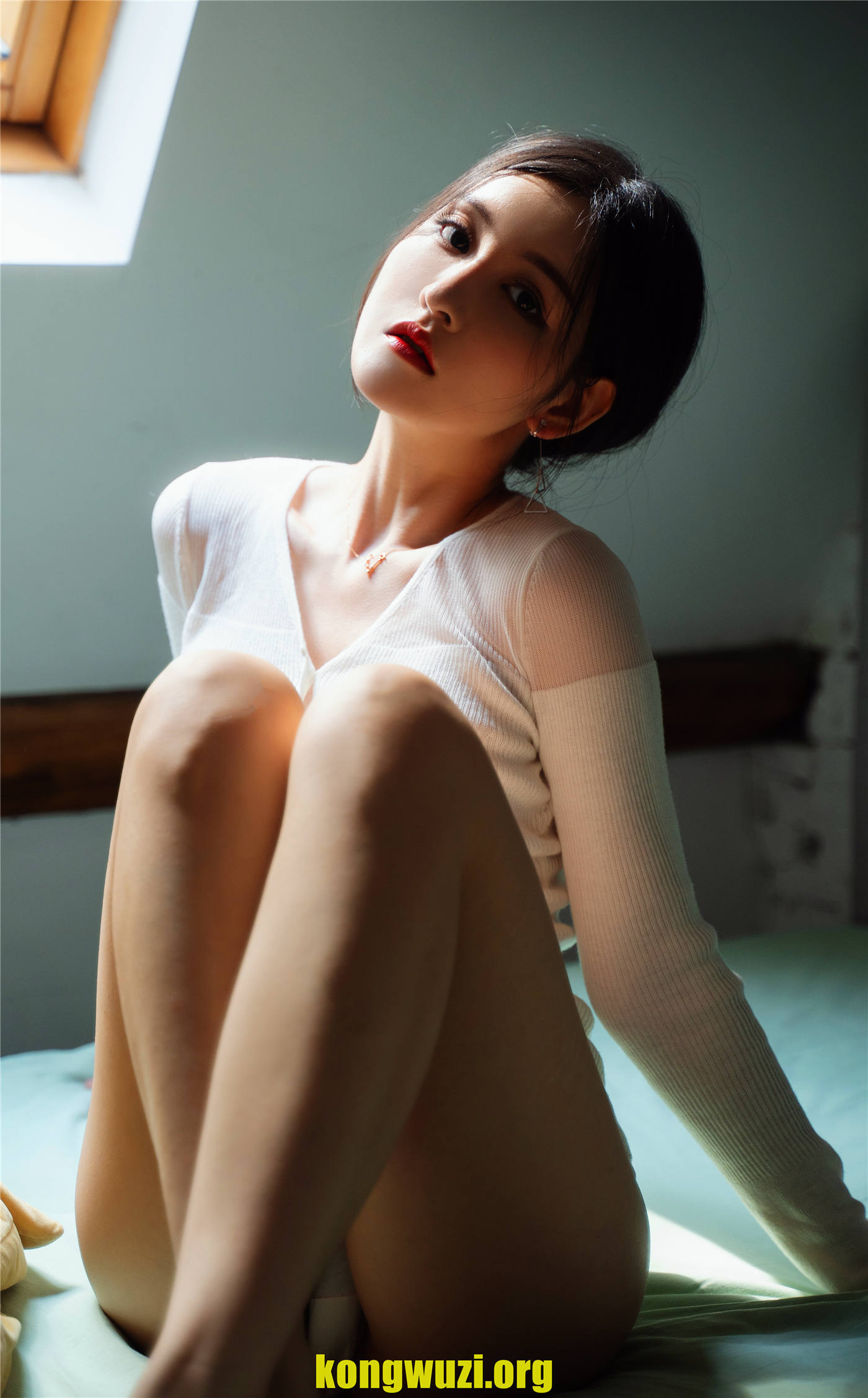 zhenshi.org (5)