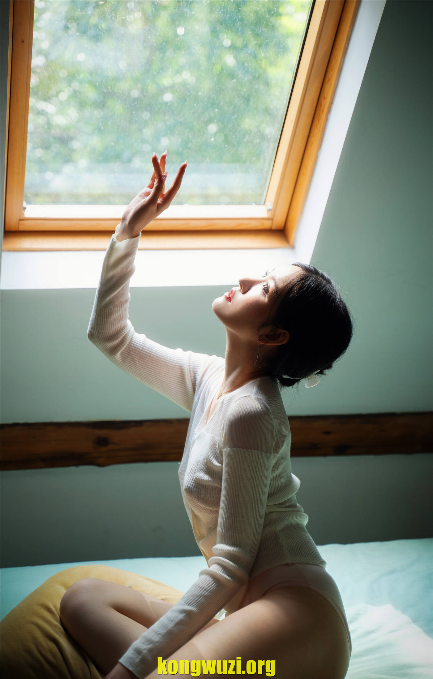zhenshi.org (10)