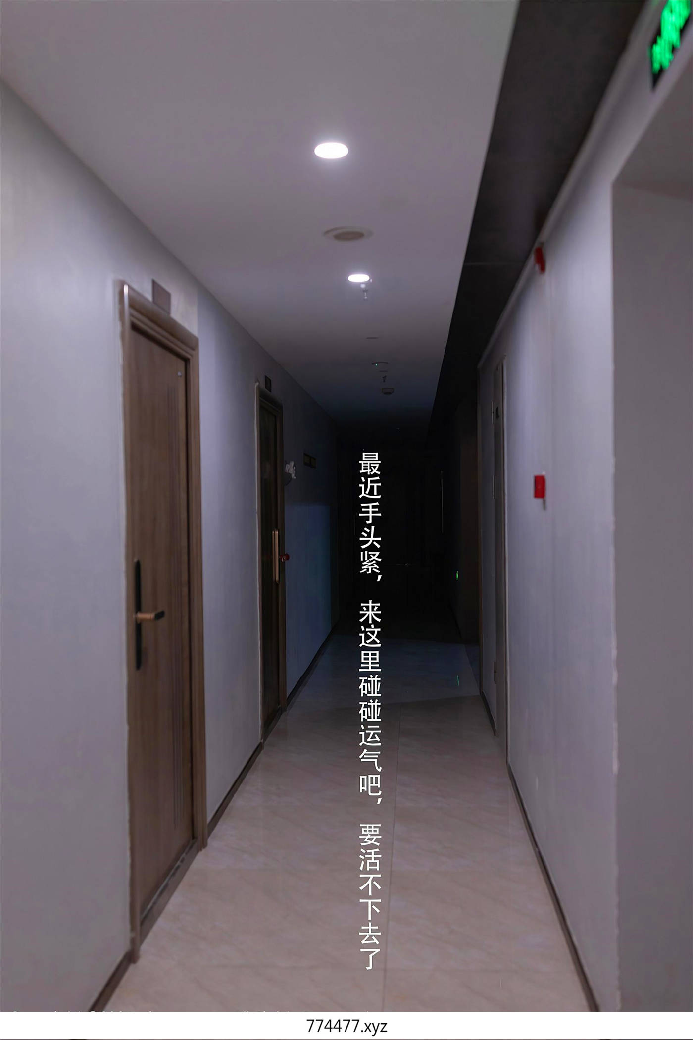 774477.XYZ (1)